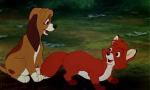 Fox and the HOund